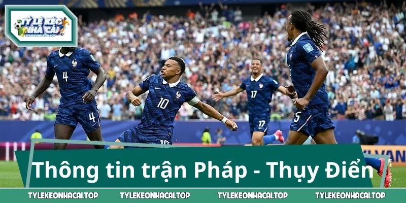 Thông tin trước trận Pháp - Thụy Điển